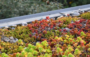 the cost of Holylee green roof installation