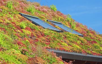 Holylee living roof systems